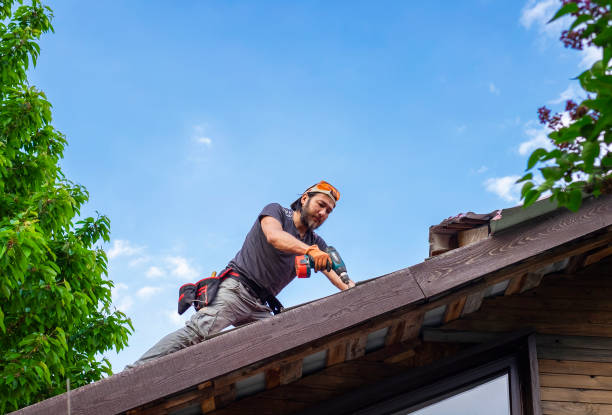 Best Steel Roofing  in Branson, MO